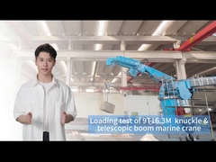 جرثقیل تخته کشتی 9T16.3M برای جابجایی کارآمد محموله